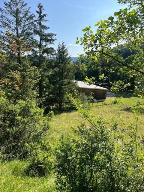 Serene Wilderness Getaway for 15 next to a historic castle Chalet in Jura