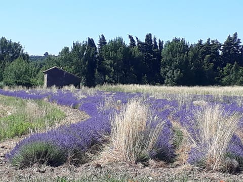 La petite maison dans les vignes Maison in Grignan