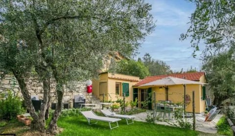 Property building, Patio, Garden