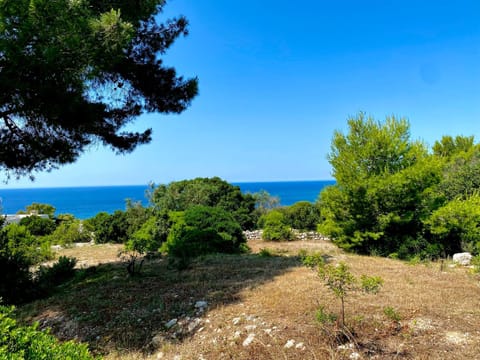 Natural landscape, Garden, Sea view