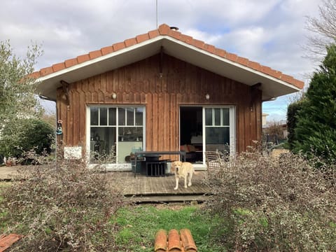 Property building, Garden, Garden view