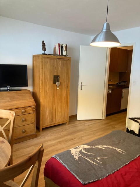 Cosy studio Apartment in Sierre