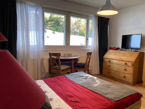 Cosy studio Apartment in Sierre