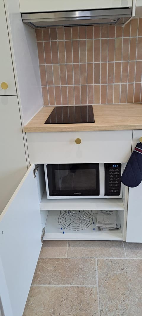 Kitchen or kitchenette, minibar, stove