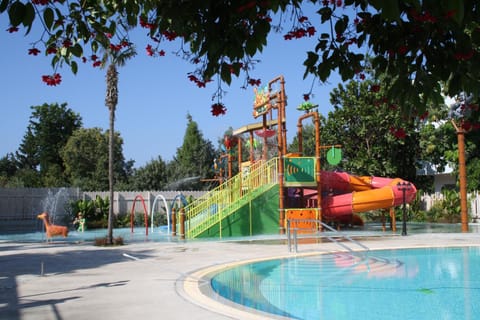 Aqua park, Swimming pool