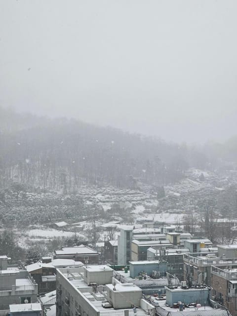 Natural landscape, Winter