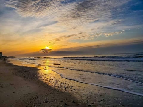 Gorgeous views, Oceanfront, Pool,The Driftwood! Appartement in North Topsail Beach