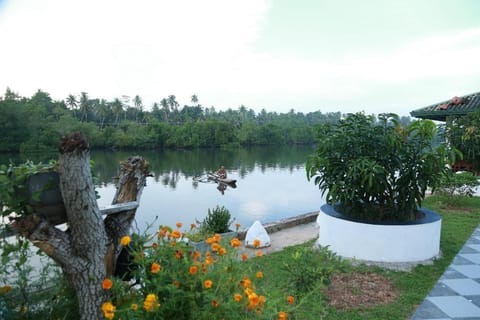 Natural Lake Down South Hotel in Ahangama