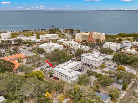 NEW! Canopy Cabana - Luxury Downtown Apartment Condo in Safety Harbor