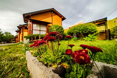 Garden, Balcony/Terrace