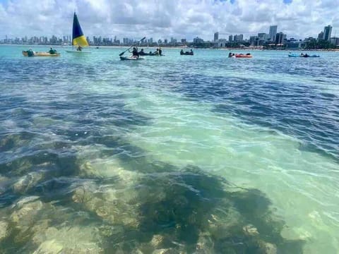 Natural landscape, Activities, Beach