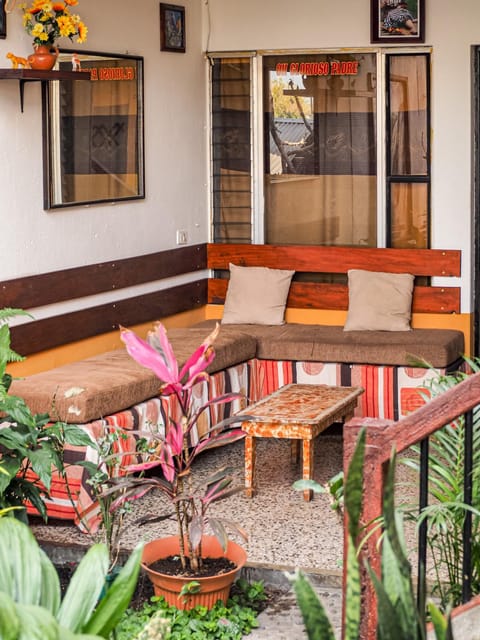 Balcony/Terrace, Living room, Garden view