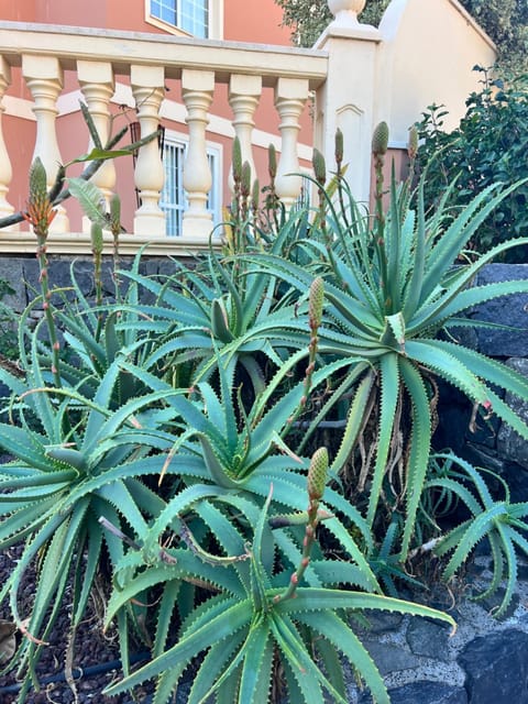 Garden, Garden view