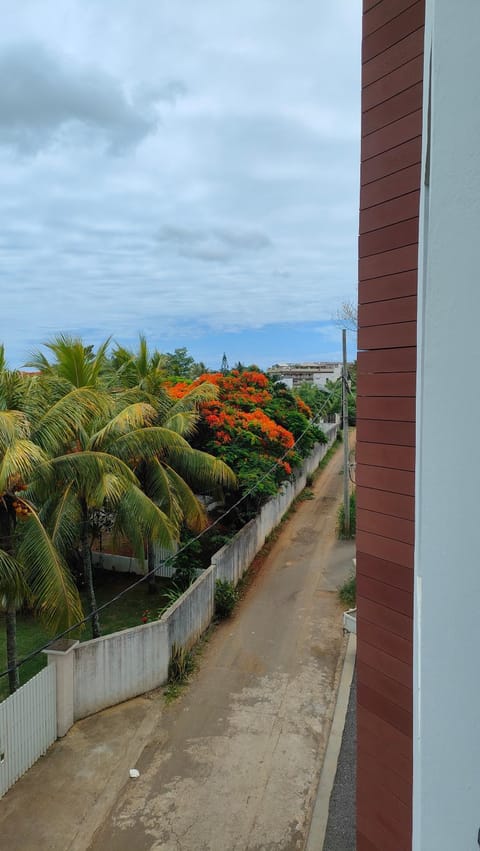 Natural landscape, Garden view