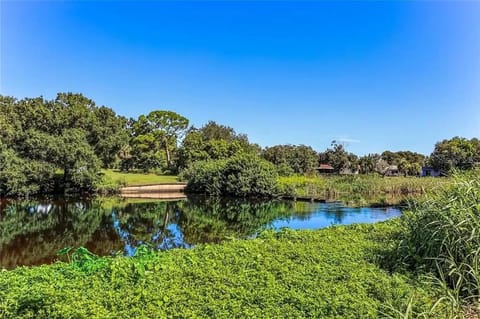 Creek House House in Sarasota