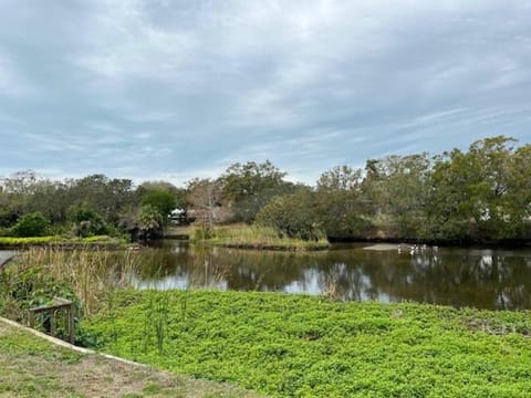 Creek House House in Sarasota