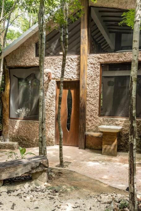 Casa de la Selva-Jungle Getaway with cenotes House in Playa del Carmen
