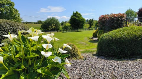 Spring, Day, Natural landscape, Garden, Garden view