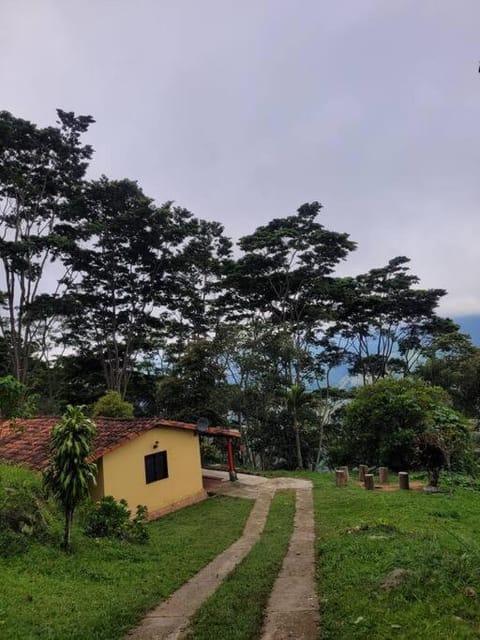 Natural landscape, Garden view