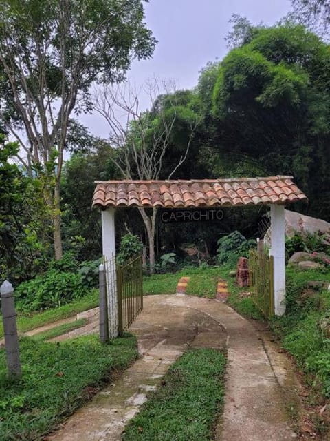 Spring, Day, Natural landscape, Garden, Garden view