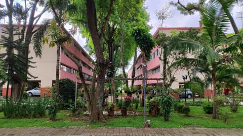 Property building, Spring, Day, Natural landscape, Garden, Garden view