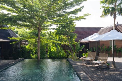 Pool view, Swimming pool