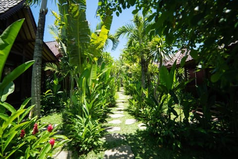 Natural landscape, Garden, Garden, Garden view