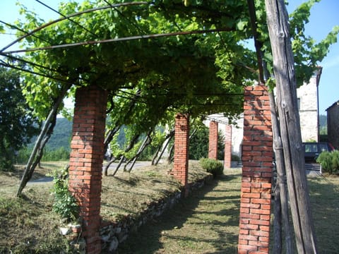 Natural landscape, Garden, Garden view