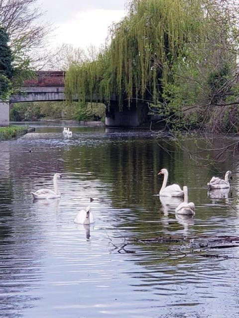 Tollgate Drive Location de vacances in Southall