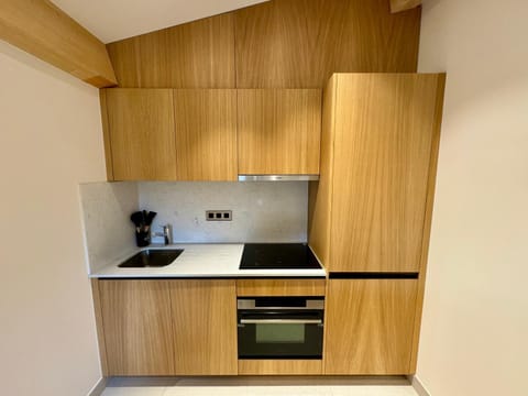 Kitchen or kitchenette, minibar, pet friendly, stove