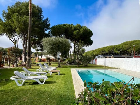 Garden, Pool view, Swimming pool, sunbed