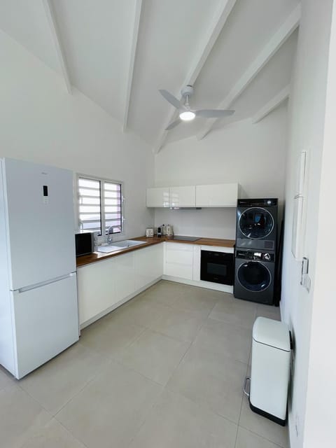 Kitchen or kitchenette, minibar, pet friendly, stove, washing machine, dryer