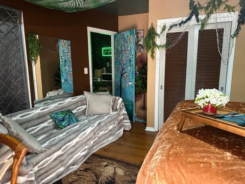 The Jungle Room Vacation rental in Temple Terrace