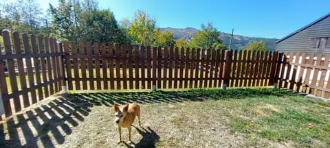 Garden, Mountain view, pet friendly