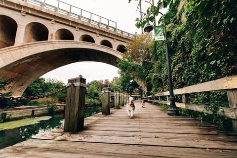 Parkside Haven - Charming 1BR Corner Property Wohnung in Manayunk