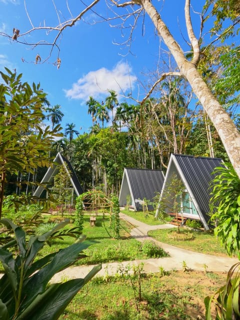 Ample Forest Khao Sok Farmstay House in Khlong Sok