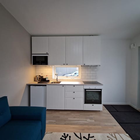 Tiny Home in a Tiny Town Apartment in Lund