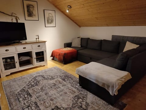 Perinnetalo Taimela / Heritage House Taimela -homestay Vacation rental in Rovaniemi