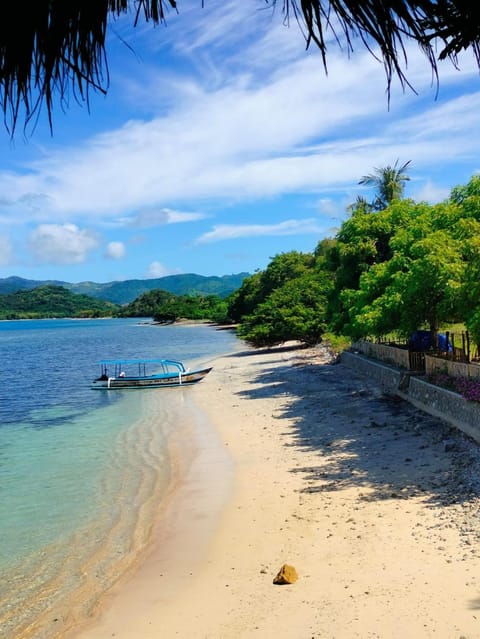 Natural landscape, Beach, Sea view