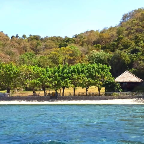 Natural landscape, Beach, Sea view