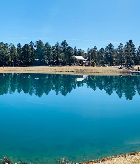 LilyBear Cabin House in Gila County