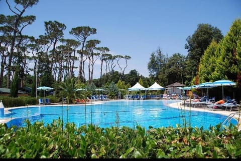 Day, Garden, Pool view, Swimming pool