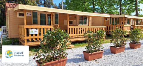 Comfortable campsite-chalet G8 Tuscany near sea Chalet in Viareggio