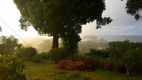 Natural landscape, Sea view, Sunrise