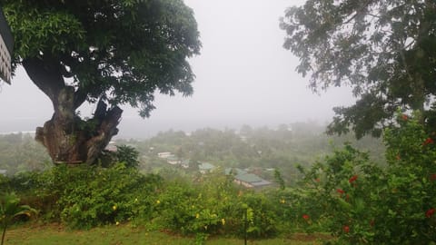 Garden, Garden view