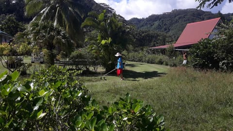 Garden, Garden view