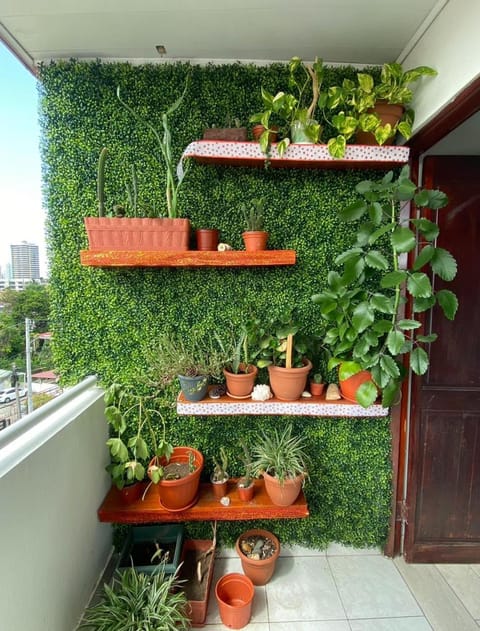 Garden, Balcony/Terrace