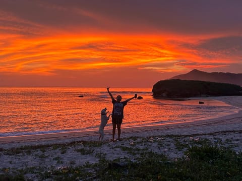 Beach, Sea view, Sunset