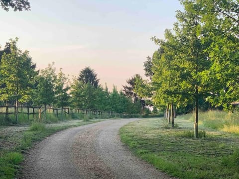 Facade/entrance, Natural landscape