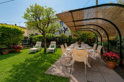 Garden, Garden view, sunbed